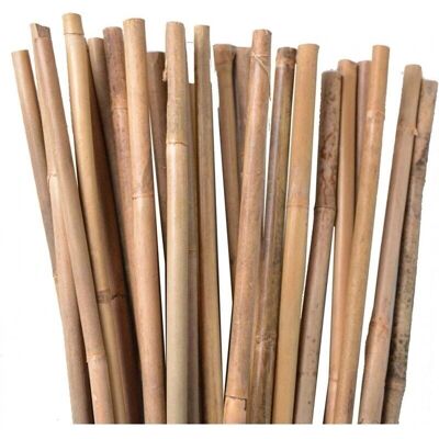 SUINGA Confezione 500 Bastoncini di Bambù - Supporto alle Piante SUINGA Confezione 500 Bastoncini di Bambù - Supporto alle Piante