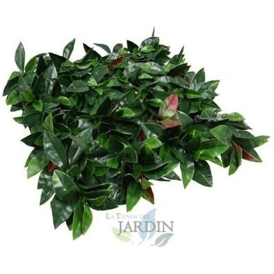 SUINGA Giardino Verticale Liptus - 100x100cm - Giardino Verticale SUINGA Giardino Verticale Liptus - 100x100cm - Giardino Verticale