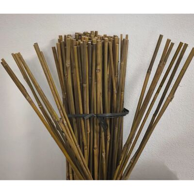 Suinga Supporti in Bambù Pack 100 - Supporto per Alberi e Piante Rampicanti Suinga Supporti in Bambù Pack 100 - Supporto per Alberi e Piante Rampicanti