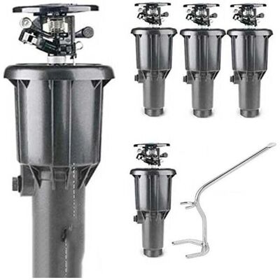 Rain Bird MaxiPaw Impact Sprinkler - Einstellbarer Bereich & Einfacher Wechsel Rain Bird MaxiPaw Impact Sprinkler - Einstellbarer Bereich & Einfacher Wechsel