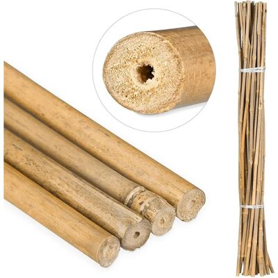 SUINGA Supports à plantes en bambou - 120cm, Pack de 30 - Publicité SUINGA Supports à plantes en bambou - 120cm, Pack de 30 - Publicité
