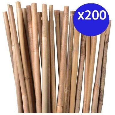 Soportes de bambú SUINGA - 100cm, 8-10mm, Pack 200 Soportes de bambú SUINGA - 100cm, 8-10mm, Pack 200
