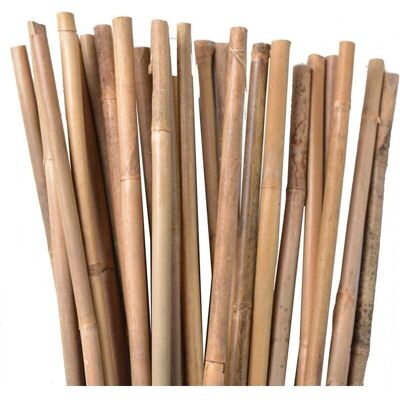 Suinga - Bambusstangen 200cm - Unterstützung für Bäume & Pflanzen Suinga - Bambusstangen 200cm - Unterstützung für Bäume & Pflanzen