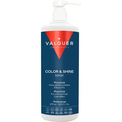 Valquer Masque Capillaire Ice - Couleur et Brillance - 1000 ml Valquer Masque Capillaire Ice - Couleur et Brillance - 1000 ml