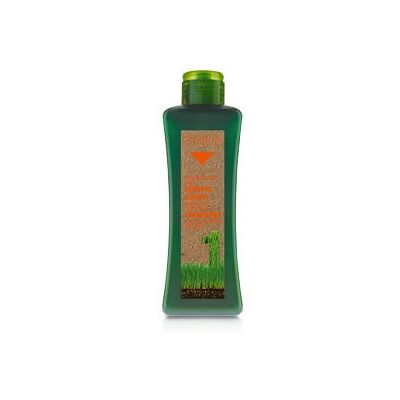 Salerm Macadamia Natural Color Shampoo - Hair Care Salerm Macadamia Natural Color Shampoo - Hair Care
