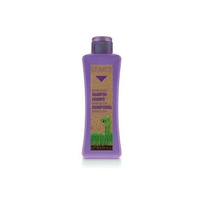 Shampoo Grapeology di Salerm - Protezione Colore - 300ml Shampoo Grapeology di Salerm - Protezione Colore - 300ml