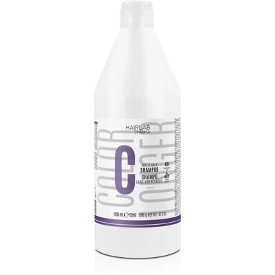 Champú Salerm Hair Lab Cabello Gris - Producto de cuidado capilar Champú Salerm Hair Lab Cabello Gris - Producto de cuidado capilar