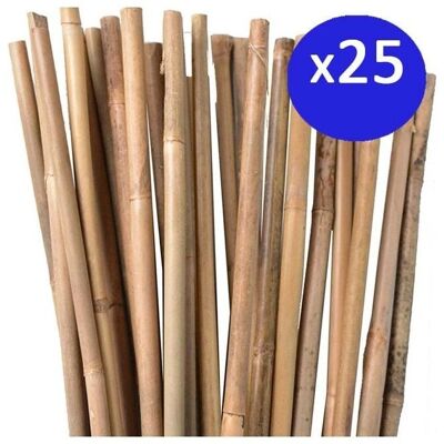 SUINGA Natürliche Bambus-Pflanzstützen - 120cm, Packung 25 SUINGA Natürliche Bambus-Pflanzstützen - 120cm, Packung 25