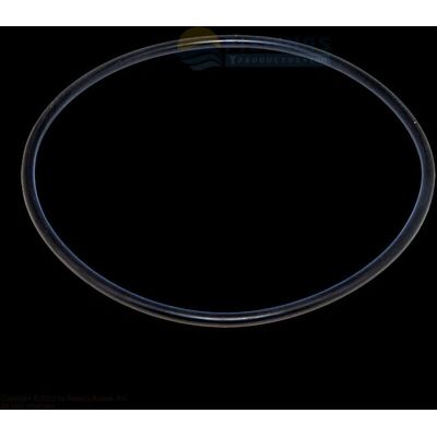 O-ring del coperchio filtro AstralPool - Compatibile con filtri Millenium & Cantabric O-ring del coperchio filtro AstralPool - Compatibile con filtri Millenium & Cantabric