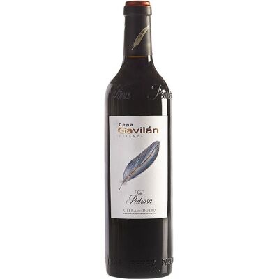 Hermanos Pérez Pascuas Cepa Gavilán Crianza - Vin Rouge - Publicité Hermanos Pérez Pascuas Cepa Gavilán Crianza - Vin Rouge - Publicité