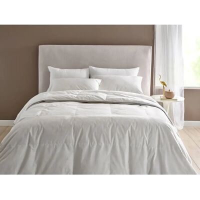Edredón de plumas Pikolin Home 96% (RP80) - 135 x 200 cm Edredón de plumas Pikolin Home 96% (RP80) - 135 x 200 cm