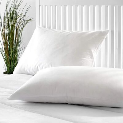 Pikolin Home - Oreiller - 75x40cm avec 50% duvet, fermeté faible - Publicité Pikolin Home - Oreiller - 75x40cm avec 50% duvet, fermeté faible - Publicité