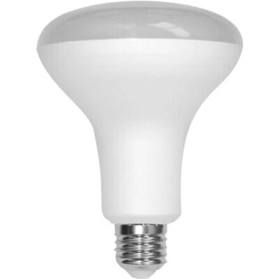 Silver Sanz 1998007 Lampadina LED - Bianco caldo - 11W - E27 Silver Sanz 1998007 Lampadina LED - Bianco caldo - 11W - E27