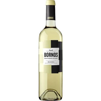 Palacio de Bornos Sauvignon Blanc 2024 - Vin Blanc - Publicité Palacio de Bornos Sauvignon Blanc 2024 - Vin Blanc - Publicité