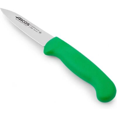 Couteau de Cuisine ARCOS Modèle 290021 Vert Manche Ergonomique - Type de Produit Couteau de Cuisine ARCOS Modèle 290021 Vert Manche Ergonomique - Type de Produit