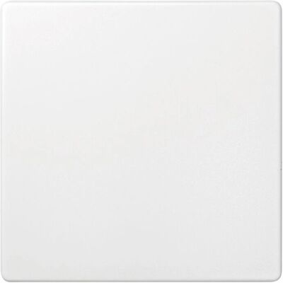 Tapa ciega Simon 73800-60 - Placa de pared Tapa ciega Simon 73800-60 - Placa de pared