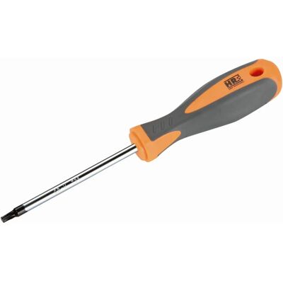 ALYCO - 170442 - Torx T20 x100 - Schroevendraaier ALYCO - 170442 - Torx T20 x100 - Schroevendraaier