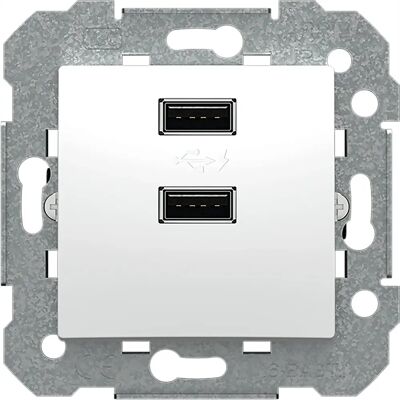 Caricabatterie BJC Modello 23580 con USB doppio - Caricatore di Batterie Caricabatterie BJC Modello 23580 con USB doppio - Caricatore di Batterie