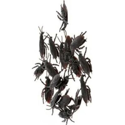 BigBuy Halloween Decoraties Kakkerlakken - 12 Stuks BigBuy Halloween Decoraties Kakkerlakken - 12 Stuks