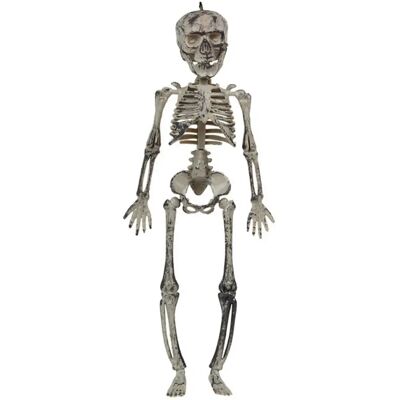 BigBuy Brand Model Skeleton - Decorations BigBuy Brand Model Skeleton - Decorations