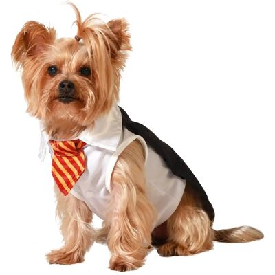 BigBuy Pets Varázsló kutyaruha - Méret S BigBuy Pets Varázsló kutyaruha - Méret S