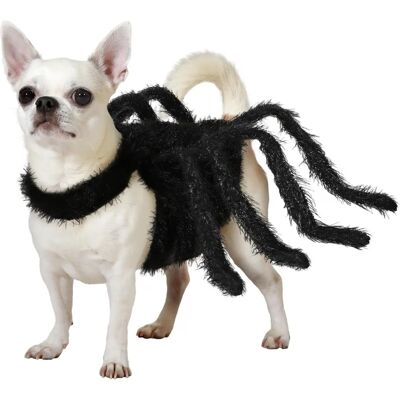 Costume d'araignée BigBuy Pets Taille S - Costume d'Halloween pour Chiens - Publicité Costume d'araignée BigBuy Pets Taille S - Costume d'Halloween pour Chiens - Publicité