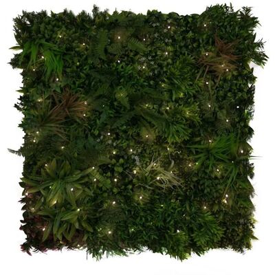 Jardín Vertical Sauvage Iluminado de Catral - 1x1 m Jardín Vertical Sauvage Iluminado de Catral - 1x1 m