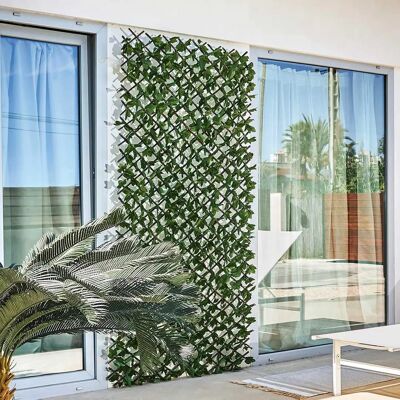 Celosia extensible Catral - 1x2 m Celosia extensible Catral - 1x2 m