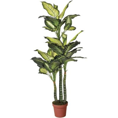 Planta artificial pata de elefante Catral - 150cm Decoración interior Planta artificial pata de elefante Catral - 150cm Decoración interior