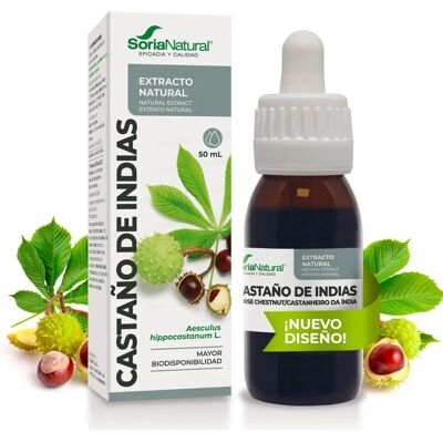 Extrato de Castanha de Indaia XXI - Suplemento de Saúde Extrato de Castanha de Indaia XXI - Suplemento de Saúde