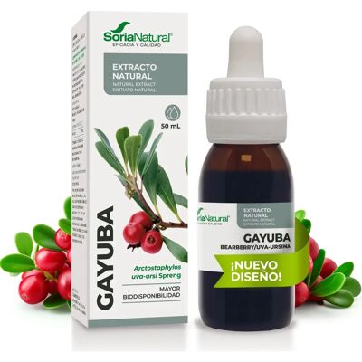 Soria Natural Bearberry Extract - XXI Formula Herbal Supplement - 50ml Soria Natural Bearberry Extract - XXI Formula Herbal Supplement - 50ml