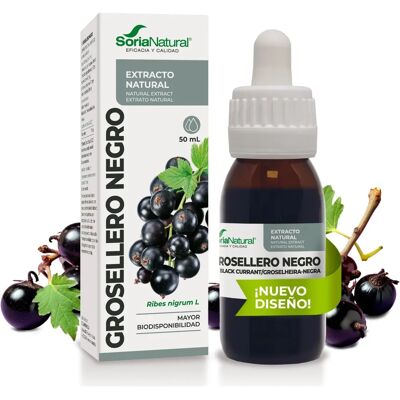 Soria Natural Blackcurrant Extract - 50ml - Circulatory Support Soria Natural Blackcurrant Extract - 50ml - Circulatory Support