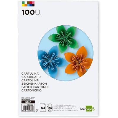 Liderpapel CT57 Papier d'art - 180g/m² A4 100 feuilles Multicolore Liderpapel CT57 Papier d'art - 180g/m² A4 100 feuilles Multicolore