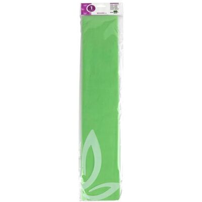 Carta Crepe Liderpapel - Verde Chiaro - 50 Cm x 2,5 M - Carta Crepe Carta Crepe Liderpapel - Verde Chiaro - 50 Cm x 2,5 M - Carta Crepe