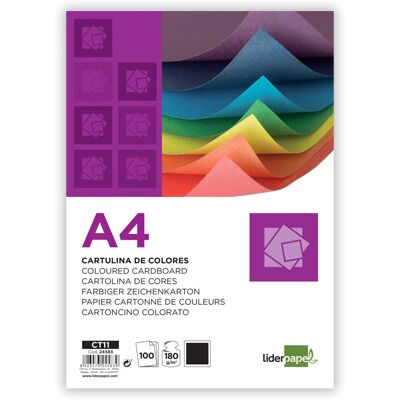 Papier artistique Liderpapel CT11 - 100 feuilles Papier artistique Liderpapel CT11 - 100 feuilles