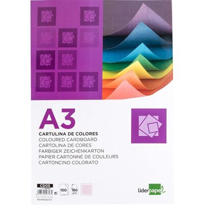 Liderpapel CD05 papier d'art - 100 feuilles - Rose Liderpapel CD05 papier d'art - 100 feuilles - Rose