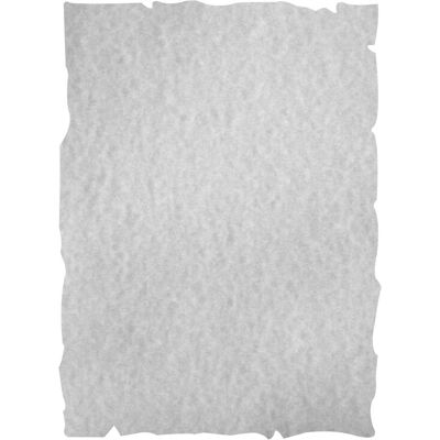 Carta per stampanti Liderpapel PW12 A4 Grigia - Carta per stampanti Carta per stampanti Liderpapel PW12 A4 Grigia - Carta per stampanti