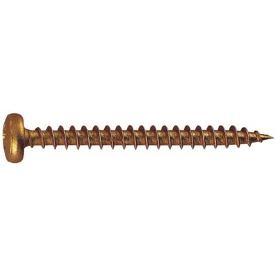 Vite in legno bicromatata Index TRPO40030 - Pozidriv 4x30mm Vite in legno bicromatata Index TRPO40030 - Pozidriv 4x30mm