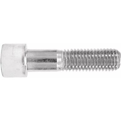 Index Vite M10 x 30mm Zincata a Esagono - DIN-912 Index Vite M10 x 30mm Zincata a Esagono - DIN-912