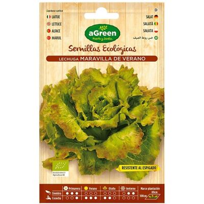 aGreen Ökologische Salat-Samen - Samenart: Samen aGreen Ökologische Salat-Samen - Samenart: Samen