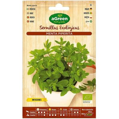 Semi di Menta Agreen - Piante Aromatiche Semi di Menta Agreen - Piante Aromatiche