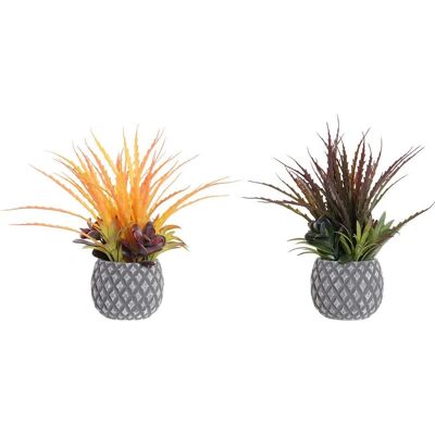DKD Home Decor Plante en céramique Rose Orange - Ensemble de Plantes Décoratives DKD Home Decor Plante en céramique Rose Orange - Ensemble de Plantes Décoratives