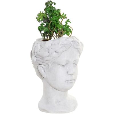 Plante Décorative DKD Home Decor Vert Blanc - Plante Décorative Plante Décorative DKD Home Decor Vert Blanc - Plante Décorative