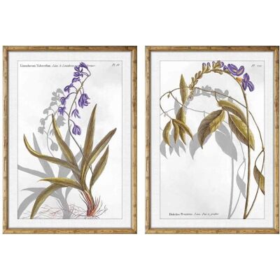 DKD Home Decor Plantes botaniques Moderne Cadre - Peinture DKD Home Decor Plantes botaniques Moderne Cadre - Peinture