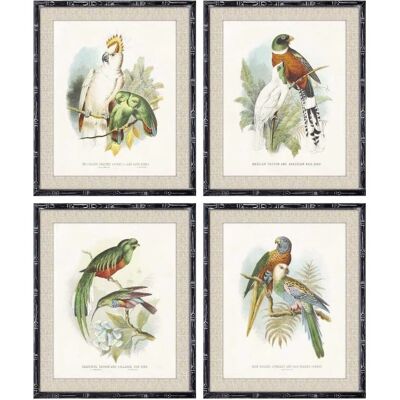 DKD Home Decor Oiseaux 50x2x60cm Moderne - Peinture DKD Home Decor Oiseaux 50x2x60cm Moderne - Peinture