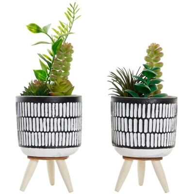 DKD Home Decor Decorative Plant - Ceramic Black Green - 2 Units DKD Home Decor Decorative Plant - Ceramic Black Green - 2 Units