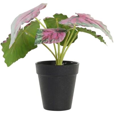 Plante Décorative Rose Vert DKD Home Decor Plante Décorative Rose Vert DKD Home Decor