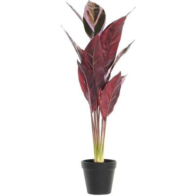 Dkd Home Decor Rosa Vert - Plante décorative Dkd Home Decor Rosa Vert - Plante décorative