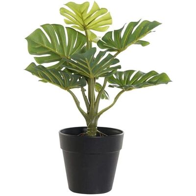 Plante décorative DKD Home Decor - Noir Vert PVC PP Plante décorative DKD Home Decor - Noir Vert PVC PP