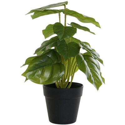 DKD Home Decor Artificial Plant - 20x20x30 cm - Black Green - Decorative Plant DKD Home Decor Artificial Plant - 20x20x30 cm - Black Green - Decorative Plant
